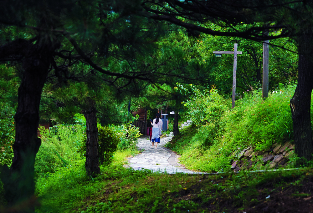 大森林里的小木屋秋雨后美成让人窒息云海小木屋离北京120公里