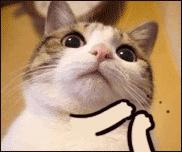 今年除了国考还有什么考试,下半年国考还有哪些