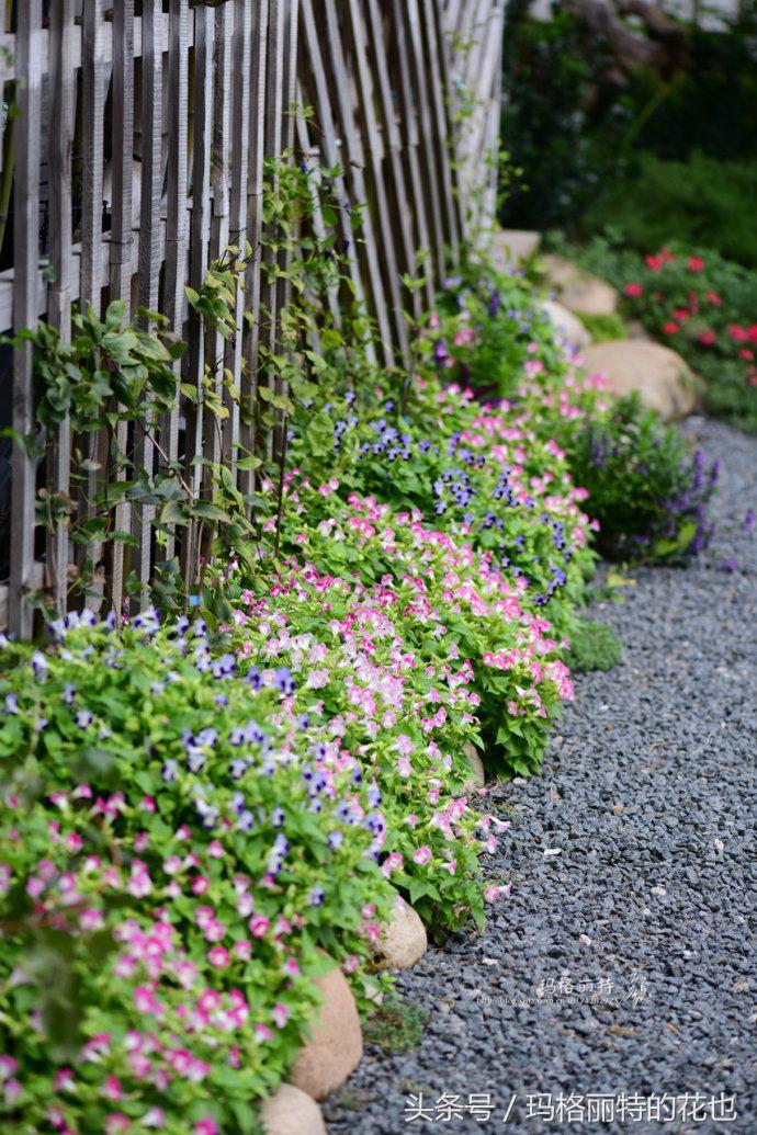 园丁修剪灌木,开满鲜花的小路教学设计一等奖