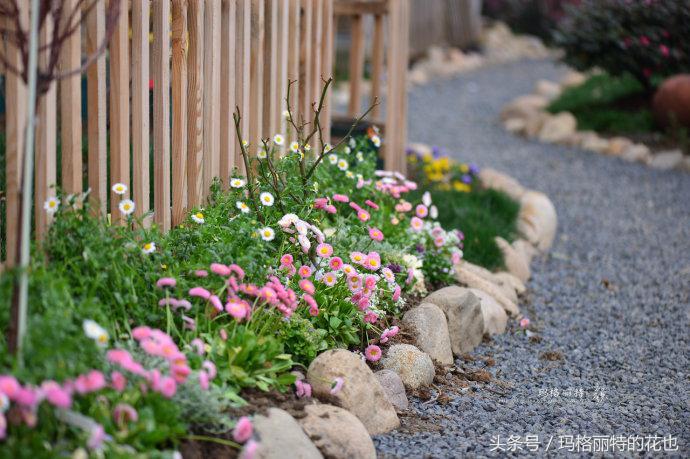 开满鲜花的小路教学设计一等奖,园丁培植万朵花