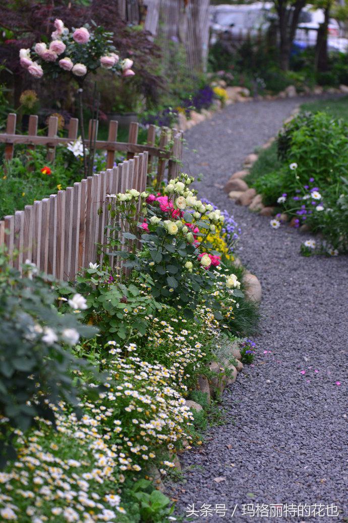 开满鲜花的小路教学设计一等奖,园丁培植万朵花