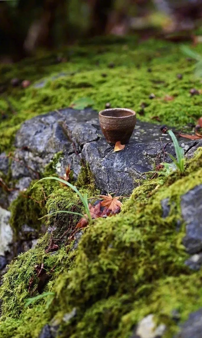 管恩锋简介,管恩锋品读好诗词