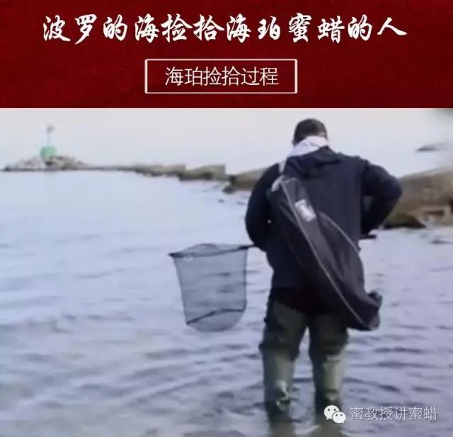 蜜蜡中白蜜蜡好还是白花蜜蜡好,蜜蜡知识之蜜蜡的种类及鉴别