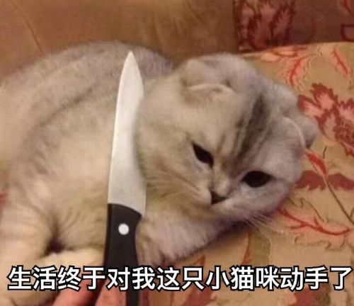 supreme秋冬系列历史前十,supreme秋冬排行