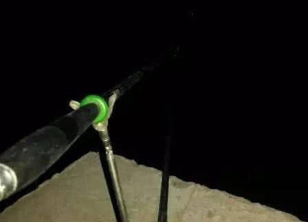 夜钓黄蜂鱼和土鲶一大盆，被鱼鳍割破了手