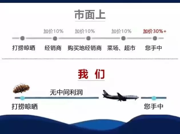 海参事件真相大揭秘,还原海参真相