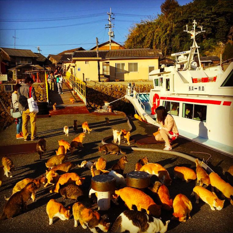 日本最高级的温泉,日本最古老的温泉是什么