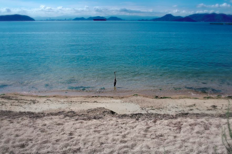 日本最高级的温泉,日本最古老的温泉是什么