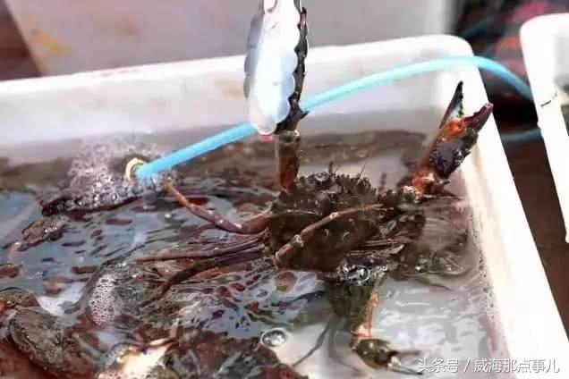 一饱口福,威海吃海鲜推荐最全攻略