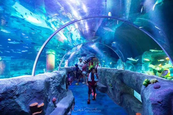 名古屋5天亲子游攻略,名古屋旅行经典二日游