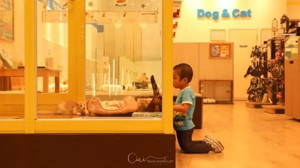 名古屋5天亲子游攻略,名古屋旅行经典二日游