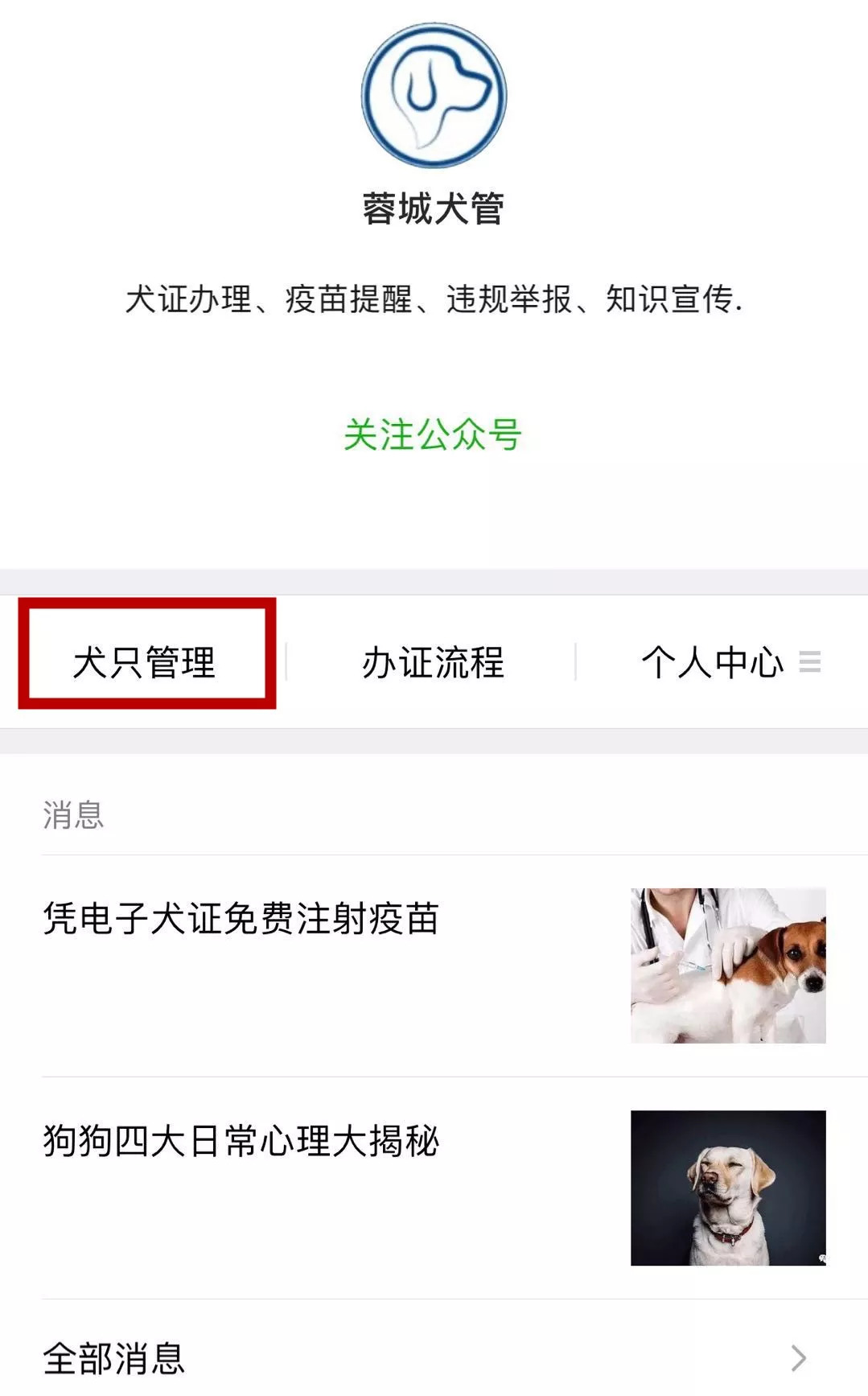 办理狗狗证去哪里办,成都哪种狗可以办理狗证