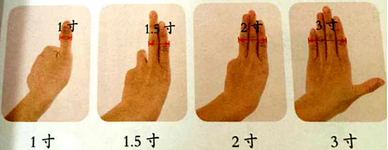 中医养生16个穴位帮你排湿气,痰湿体质按什么穴位可以祛湿