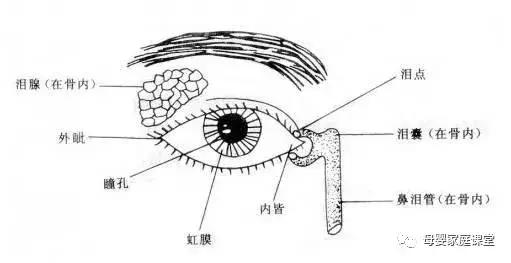 孩子发烧后眼屎突然增多怎么回事,三岁宝宝眼屎突然增多是怎么回事