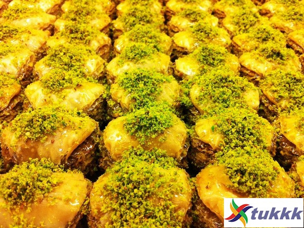 小语种学什么最好就业女生,哪类小语种最好找工作