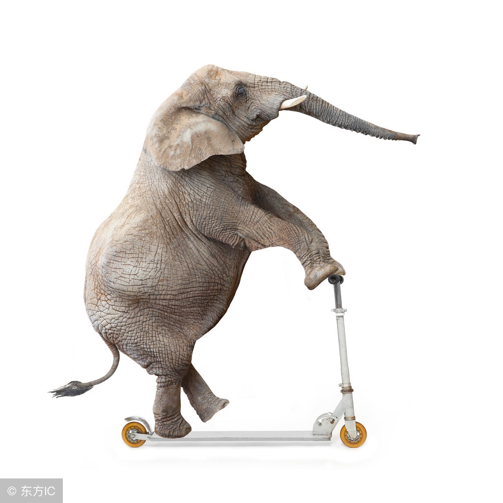 顺丰持续领跑,顺丰公司的崛起发展之路