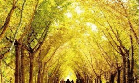 湖北各个行政区,湖北各地行政区变化