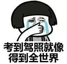 今年驾校生意,现在为什么驾校报名费这么高了