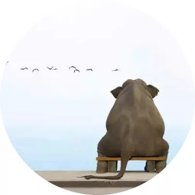 文字情人｜上错了车，别因为投了币而不肯下车，那样只会错过更多的站