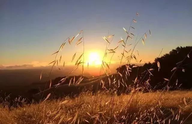 学摄影首先要学好单反的八个设置,单反摄影要掌握的重点是什么