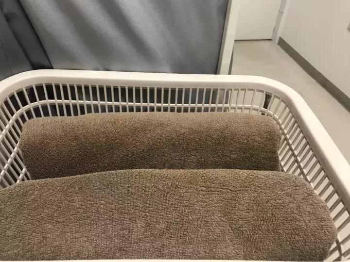 日本人基础体检项目,日本体检真的很准吗