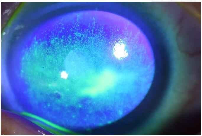 十篇被疯转的健康文章，转给亲友当新年礼物，超赞的！