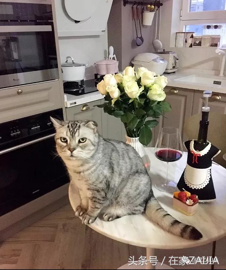 有衣帽间榻榻米的卧室,7平米榻榻米衣帽间