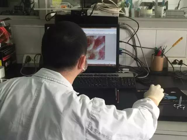 螨虫走开！中疾控检测100%有效，家有小宝、消除过敏源必备