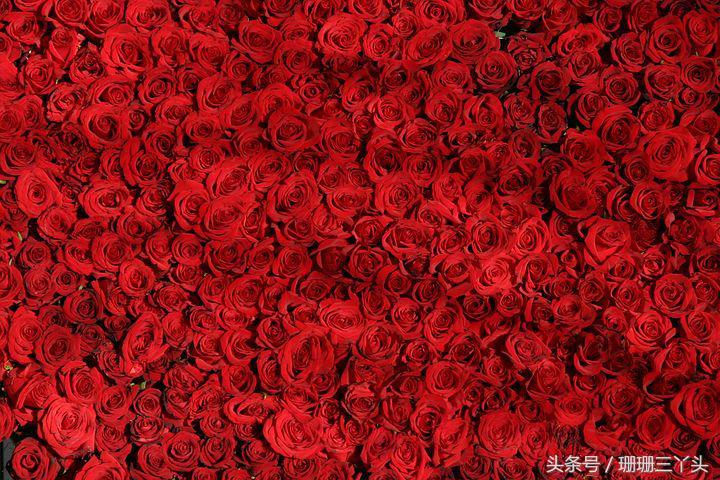 用色彩和光线拍出来的摄影作品,大色块高饱和度摄影什么风格