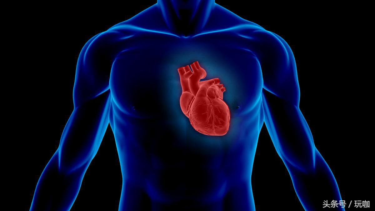 理论上的人类速度极限,人类理论上所能达到的最高速度