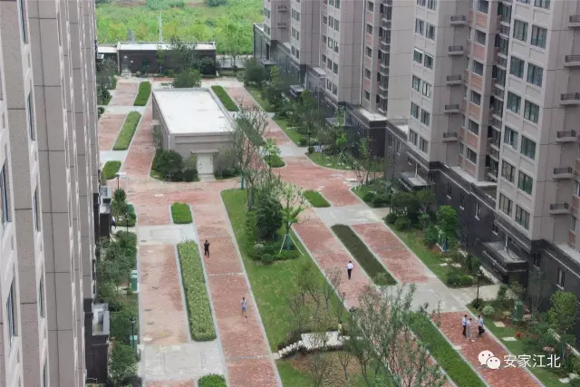力标、中交、亚泰！江北这些房子一个比一个难买！刚需哭了