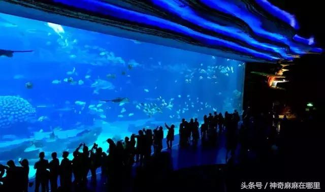 珠海长隆旅游攻略3天自由行,亲子游珠海长隆一日游攻略