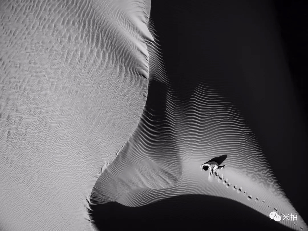 这个夏天，100位年轻的摄影师在这里C位出道！