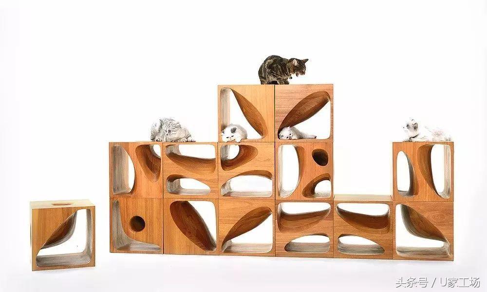 便宜又好用的猫窝有哪些,这六种猫窝你一定买过