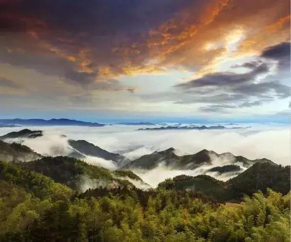 99%的人念错了名字！这份和浙江有关的考试，你可能要不及格！