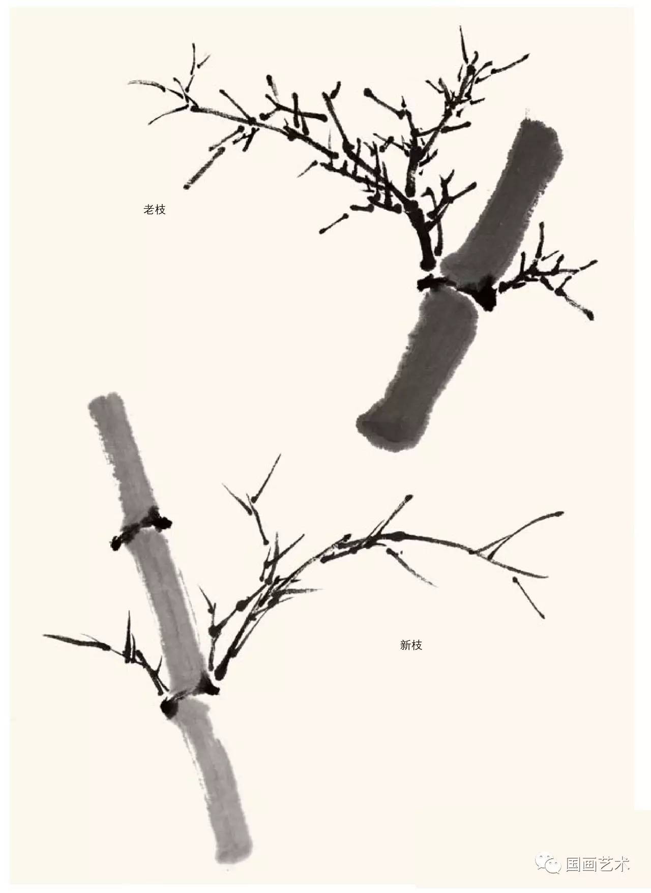 画竹的最好画法,毛笔画竹的简单画法