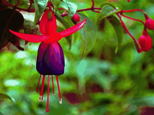 美好人生幸福相册,幸福人生的相册