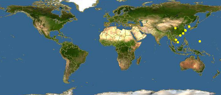 海边贝类种类,各种贝类的名称