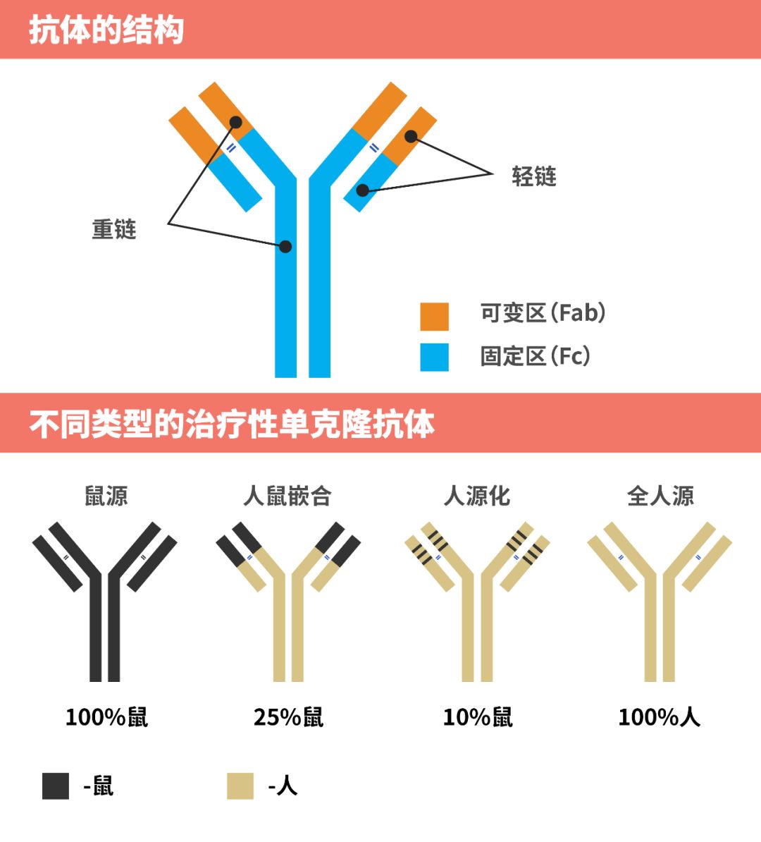 重磅首个国产新冠口服药获批上市,国产pd1免疫制剂什么时候上市