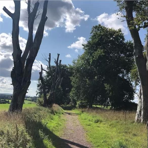 我到乌托邦鼻祖欧文的地盘上转了下，和英国人聊了聊