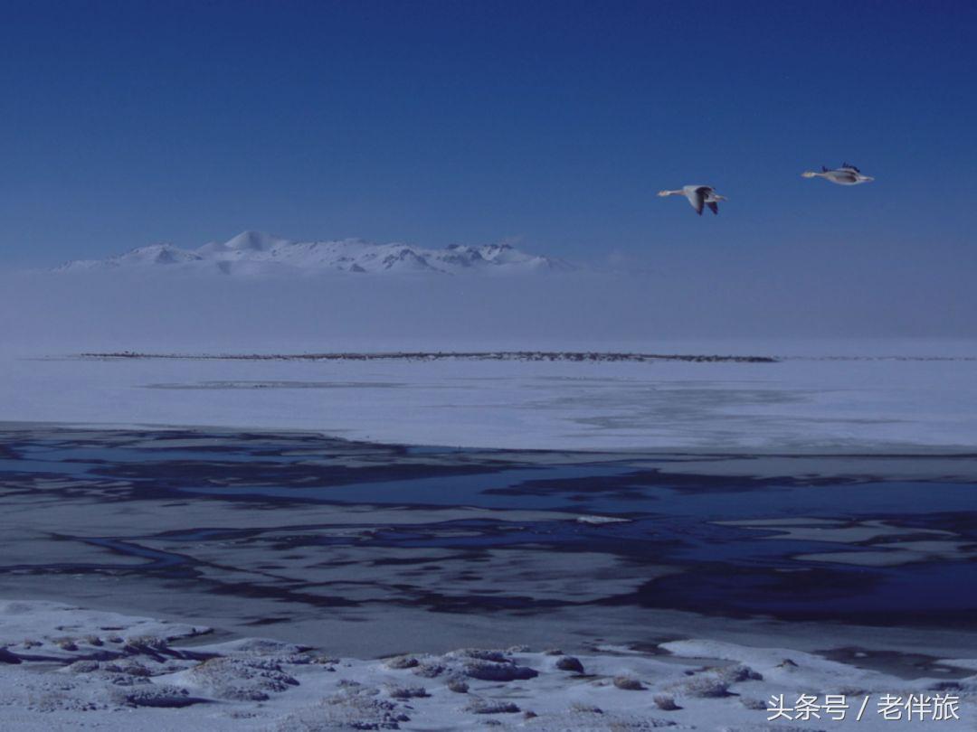 公益、毒枭、足球、电影——“老伴旅”分享“壮游者”四个好故事
