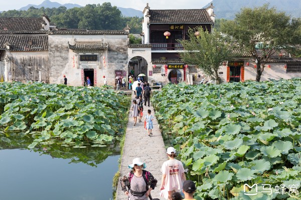 六小爷,六小爷唱的歌