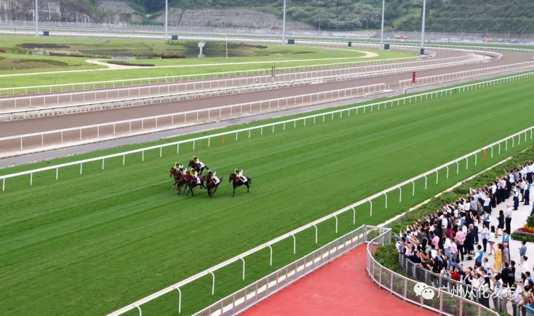 wow马术,香港赛马会从化马场