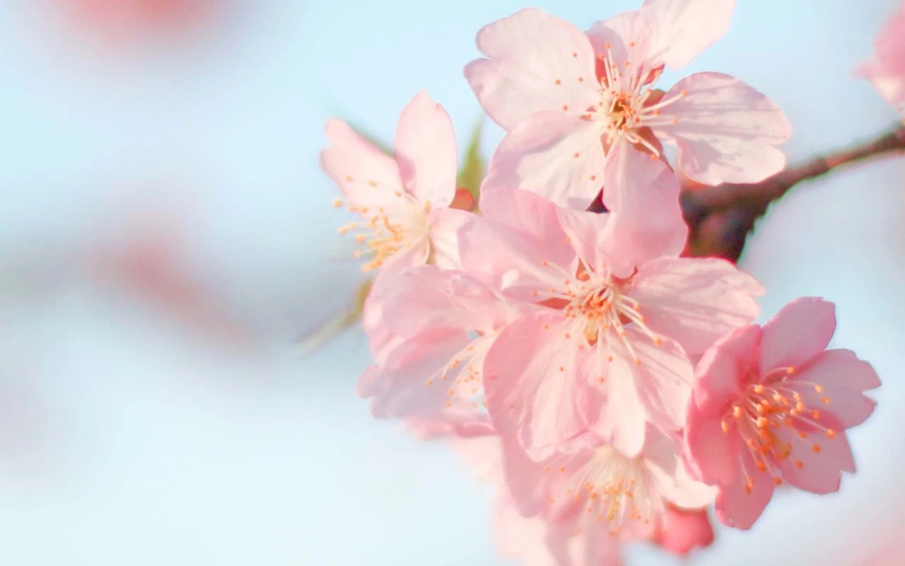 我们肚子里的寄生虫是怎么来的,每个人的肚子里都有寄生虫吗