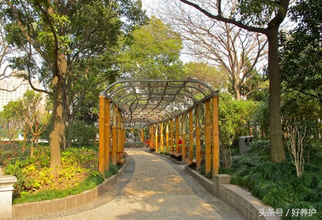 上海值得一去的18个公园,上海免费公园景点推荐