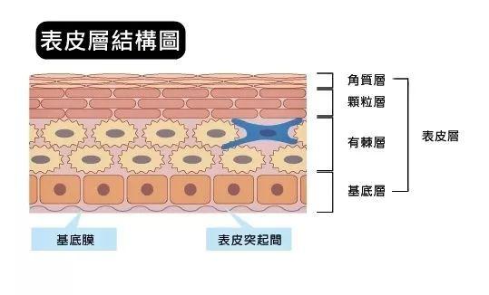 dermaroller玻尿酸精华原液好吗,24k黄金玻尿酸精华原液怎么样