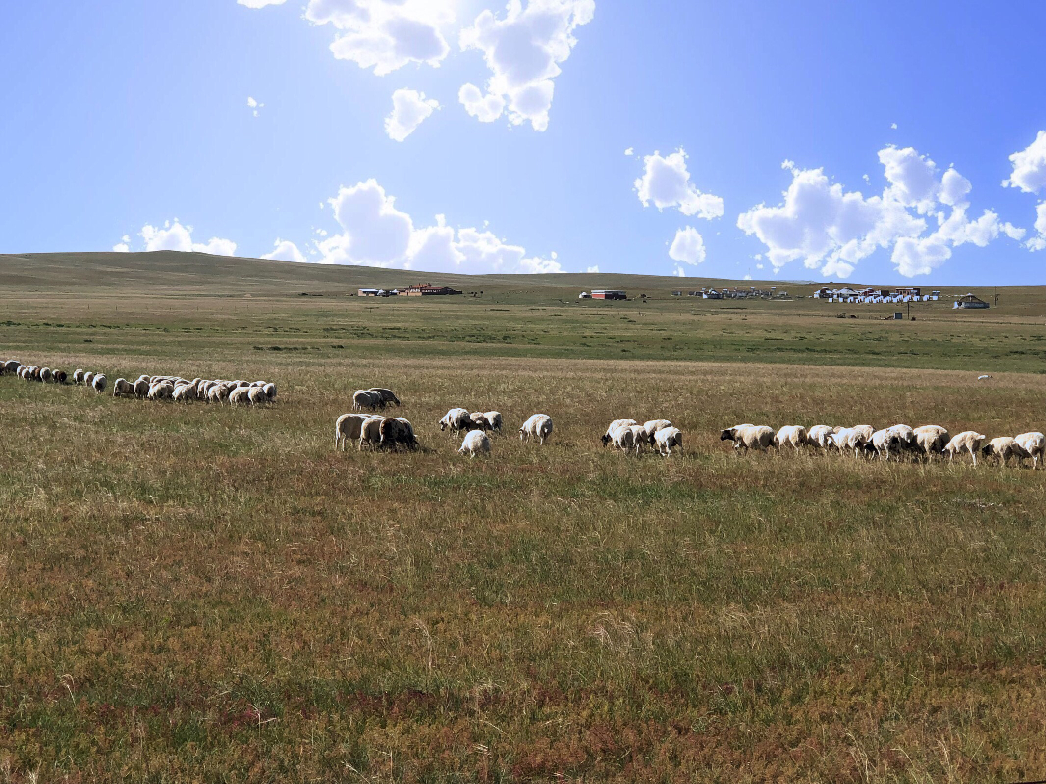 内蒙希拉穆仁草原好玩,包头希拉穆仁草原风景