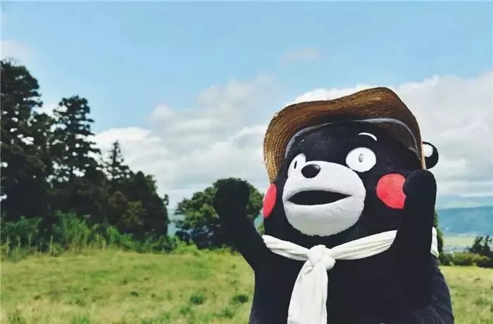 大连交管12123免检车申领检验标志,大连市交管通告