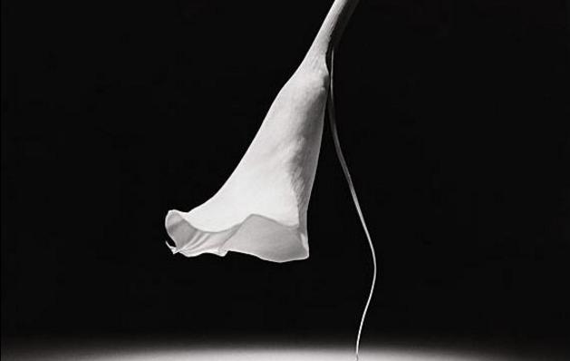 结婚后老公总是对自己发脾气,老公脾气不好婚后怎么办