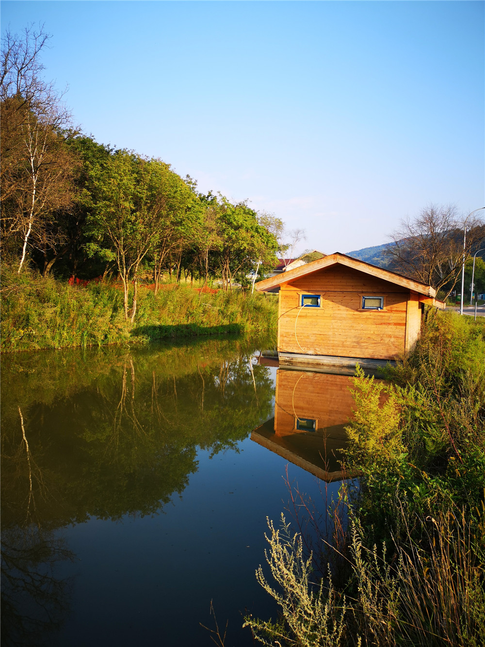 乐嘉如何了解孩子的性格,乐嘉性格色彩判断孩子性格